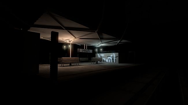 A Large Quantity Of Mushrooms