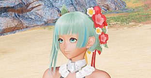 PSO2:NGS - Aelio Nager Renewal Edition