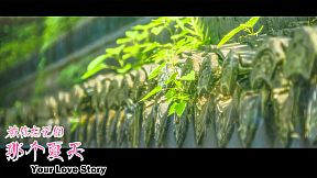 Your Love Story 被你忘记的那个夏天