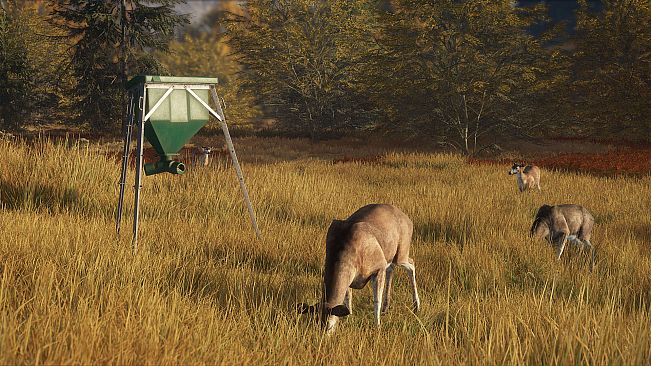 theHunter: Call of the Wild - Game Feeder Pack