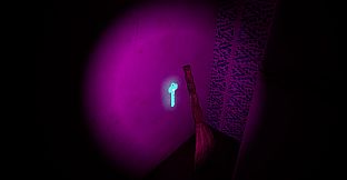 The Quiet Flat