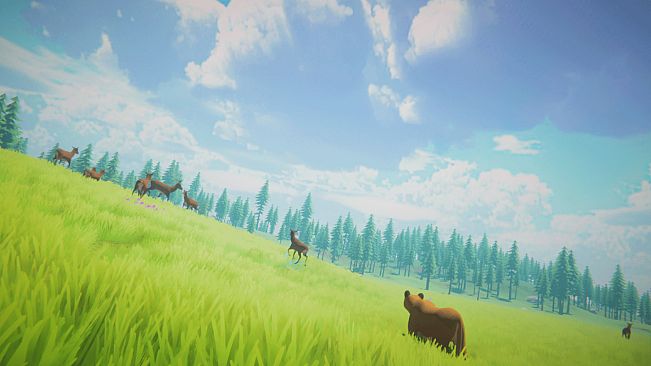 Pandora : Wild Origins