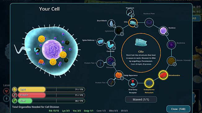 Salty: Evolution Simulator
