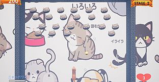 Challenge from the Black Cat