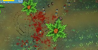 A Minor Pest Problem