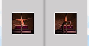 Adult Puzzles - Pole Dancer ArtBook