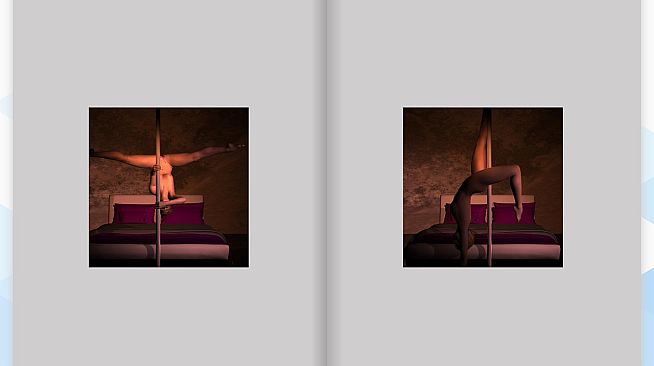 Adult Puzzles - Pole Dancer ArtBook