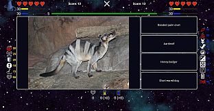 I've Seen Everything - More Animals