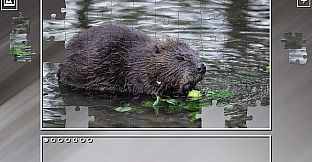 Super Jigsaw Puzzle: Generations - Rodents