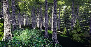 Finnish Forest