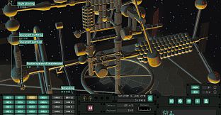 Orbital Margins