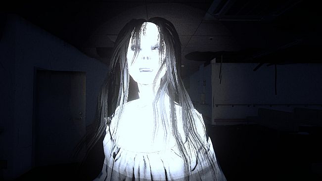 The Organ Woman | 臓器女