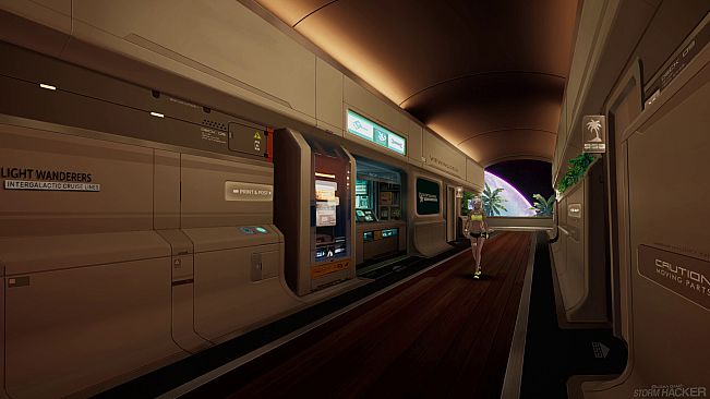 AENiGMA GAME: STORM HACKER