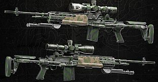 Squad Weapon Skins - Recon Team Pack