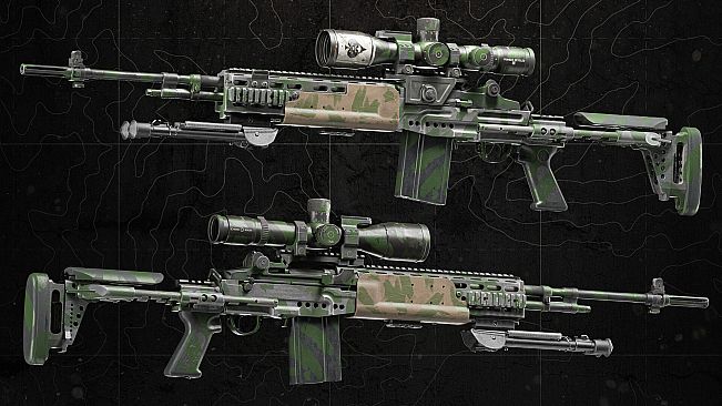 Squad Weapon Skins - Recon Team Pack
