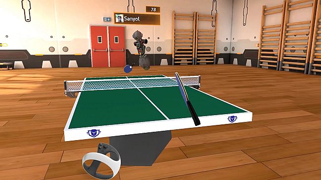Racket Fury: Table Tennis VR