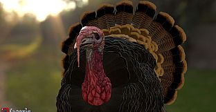 IRFaceRig Real Turkey