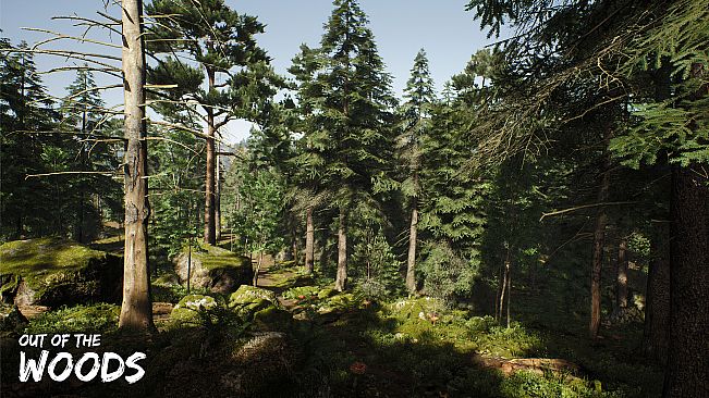 Out of the Woods