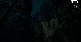 Forest Lookout