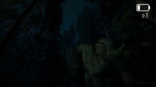 Forest Lookout