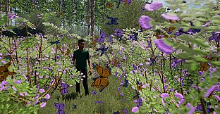 The Fox, The Forest & The Darkness