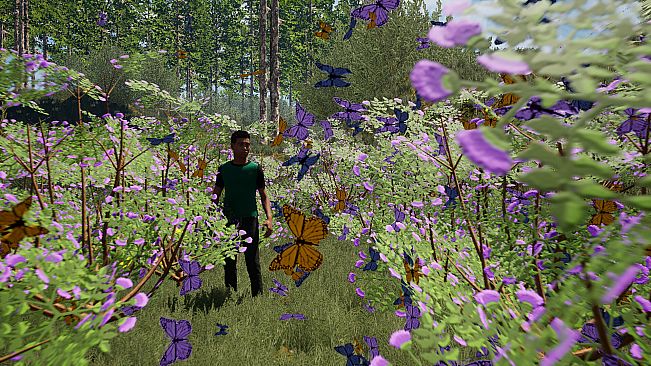 The Fox, The Forest & The Darkness