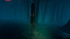 The Woods