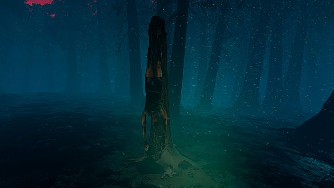 The Woods