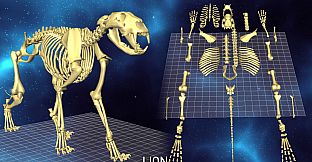 World of Guns: 5 Skeletons Pack