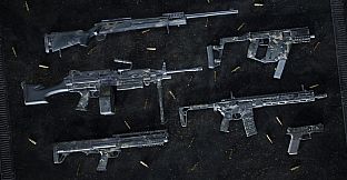 Insurgency: Sandstorm - Night Raven Weapon Skin Set