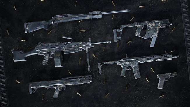 Insurgency: Sandstorm - Night Raven Weapon Skin Set