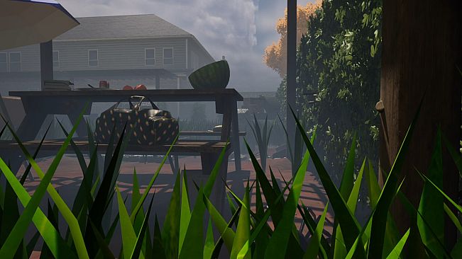 Mr Dookie Adventures