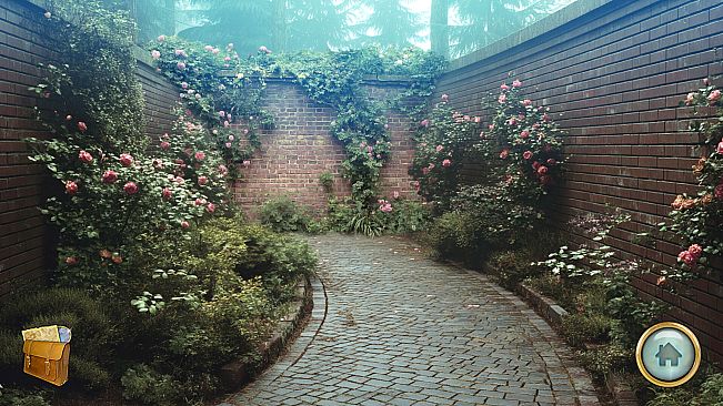 Maze of Thorns