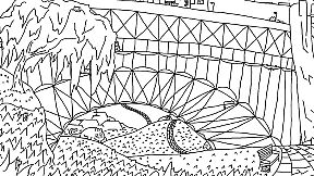 Looking For Cats In a Badly Drawn City