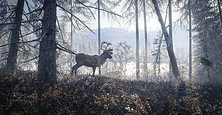 theHunter: Call of the Wild - 2019 Edition