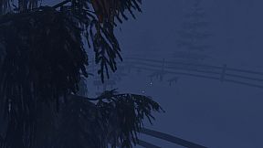 Whispers In The Woods