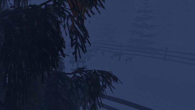 Whispers In The Woods