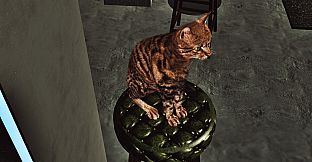 Billiard Cat