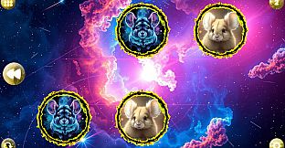 Space Memory: Chinchillas
