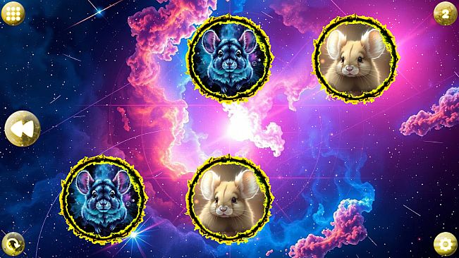 Space Memory: Chinchillas