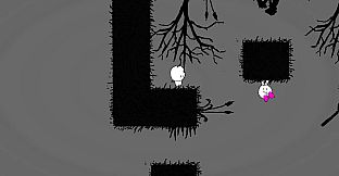 Him & Her Collection