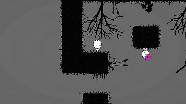 Him & Her Collection