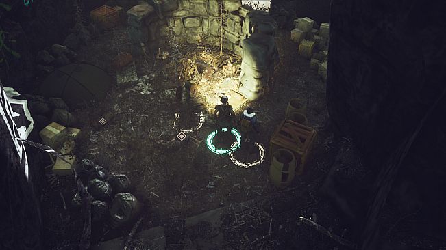 Survive the Fall - Digital Supporter Pack