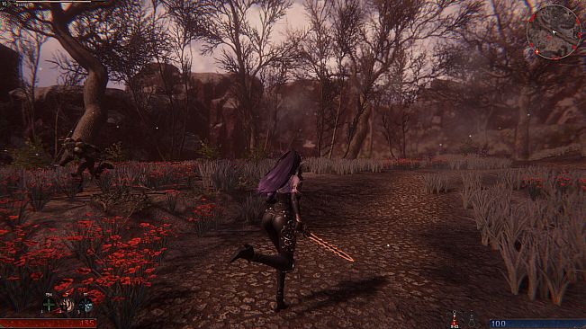 Elven Huntress: Sunveil