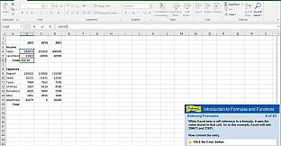 Professor Teaches Excel 2016