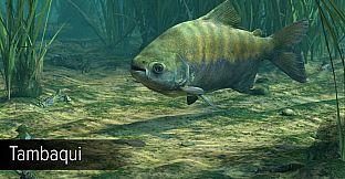 Ultimate Fishing Simulator - Amazon River DLC