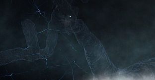 Virtual Near Death Experience