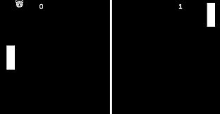 Endless Furry Ping-Pong