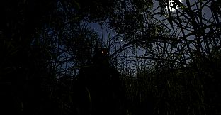 Whispers of the Tallgrass