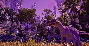 Mystic Grove